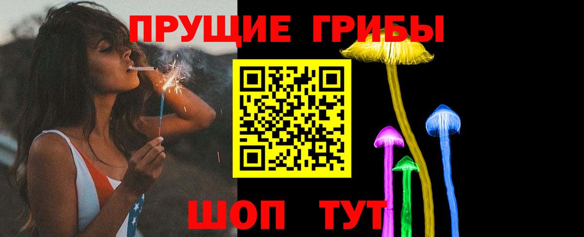 Урюпинск  Псилоцибиновые грибы мицелий  Вход с VPN 